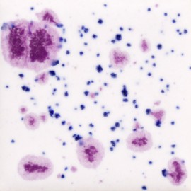 Frosted Berries - 16-oz Mayco Jungle Gem Crystal Glaze